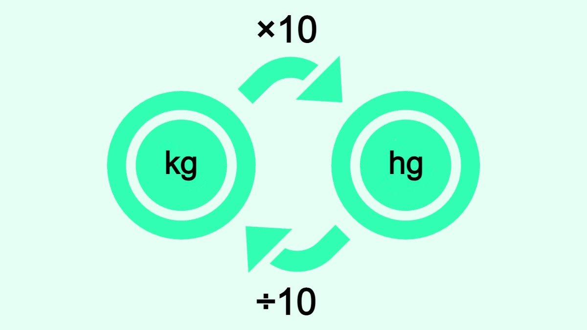 The image shows how to convert kilograms (kg) to hectograms (hg) and vice versa.